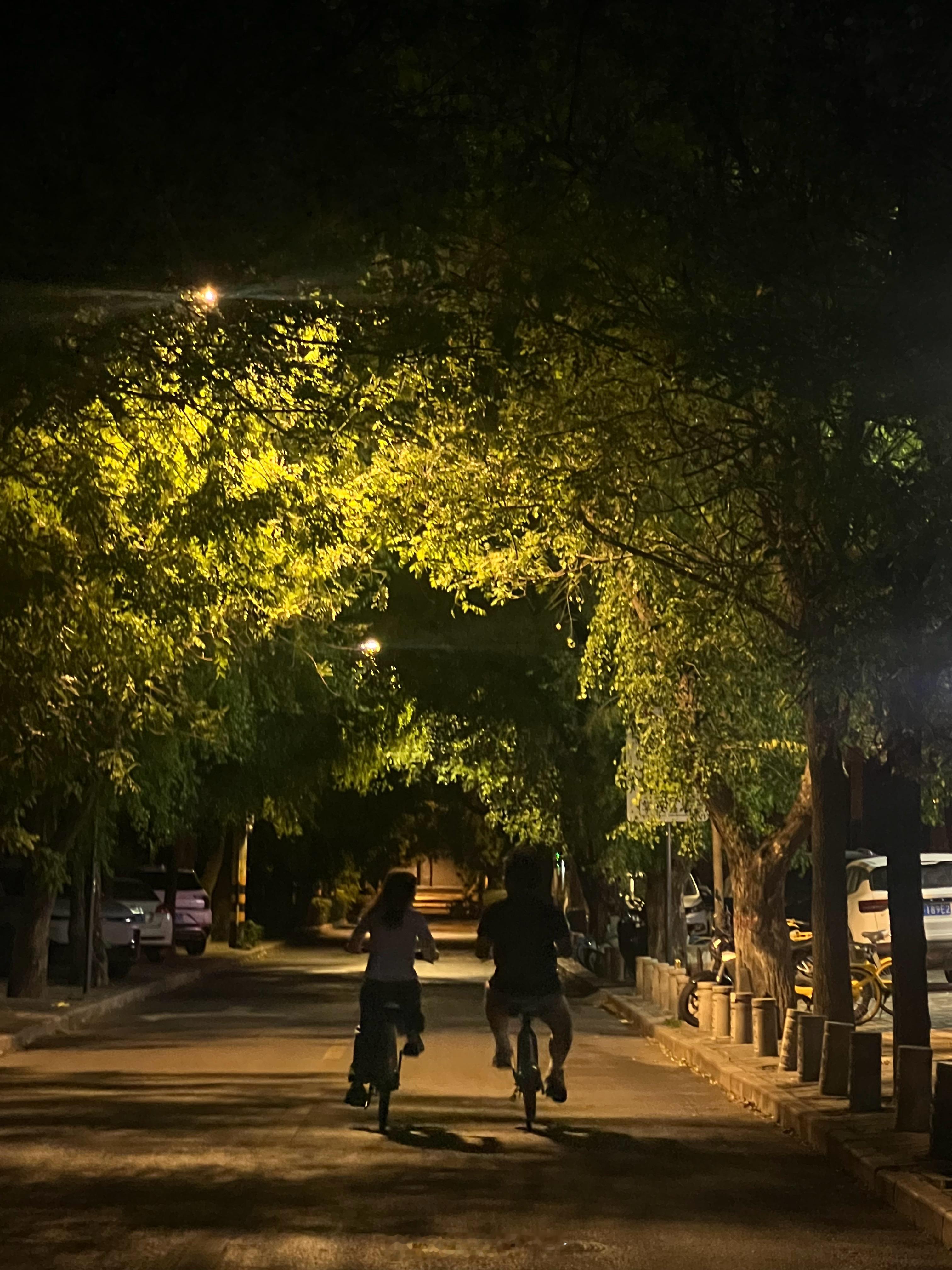今天是在喀什的最后一天。下午从喀什飞西安，原以为只是西北两座城市之间的国内航段，