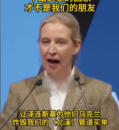 德国大佬怒喷泽连斯基，说德国好心帮乌克兰，结果转头炸了德国的能源命脉北溪管道，还