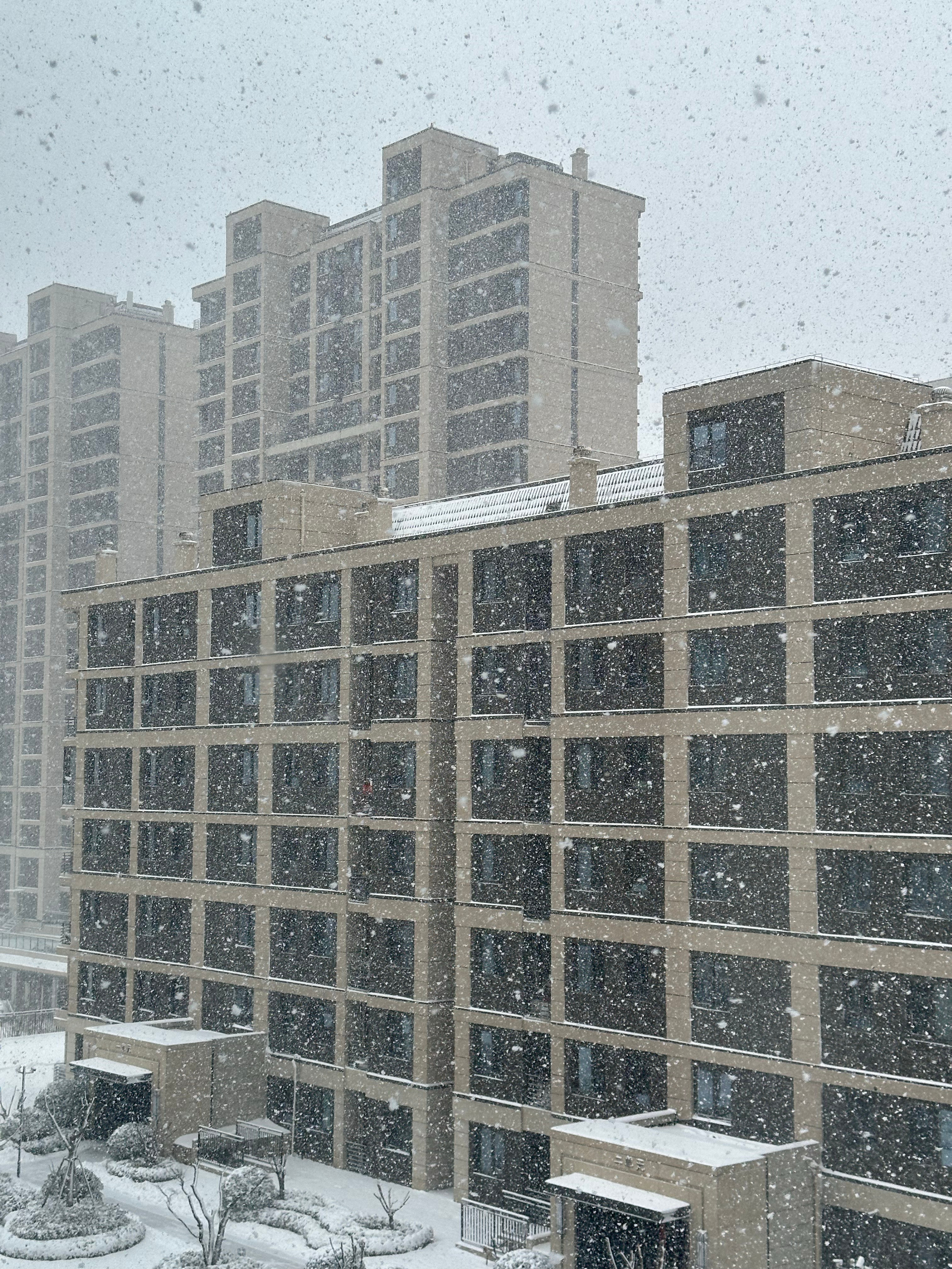 威海好大的雪啊❄️ 