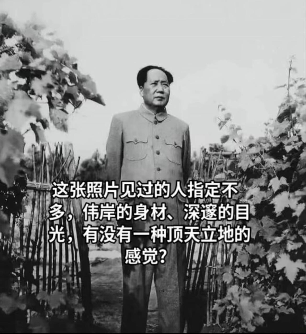 一代伟人 历史人物 历史