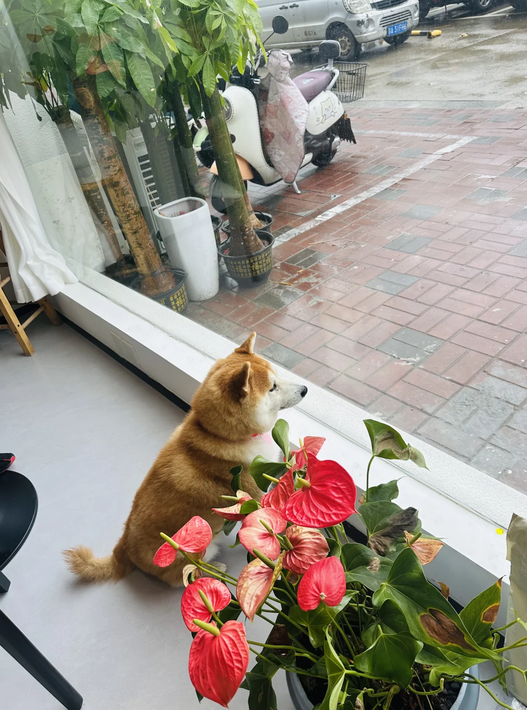 雨天☔️