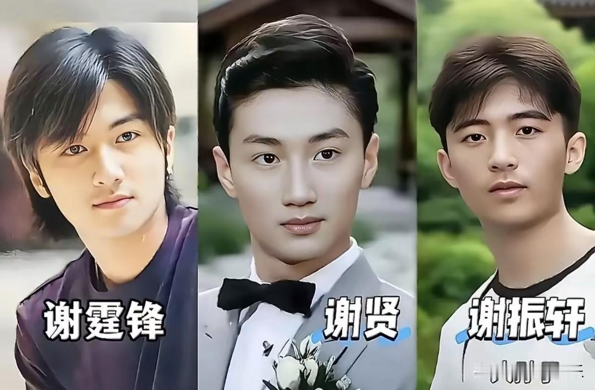 有人对谢家三代男人的面容展开了研究
竟发现一个“恐怖”的复制规律

谢贤并非单纯