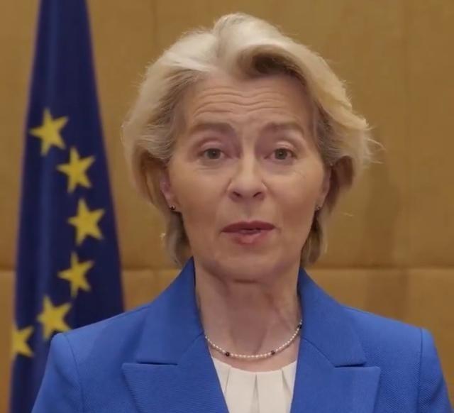 欧盟委员会主席冯德莱恩1月18日发文说：“领土完整与主权是国际法的基本原则，对欧