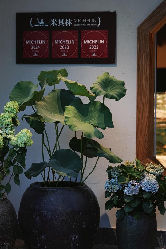 广州都市里，竟然里藏了个“桃花源”！！！