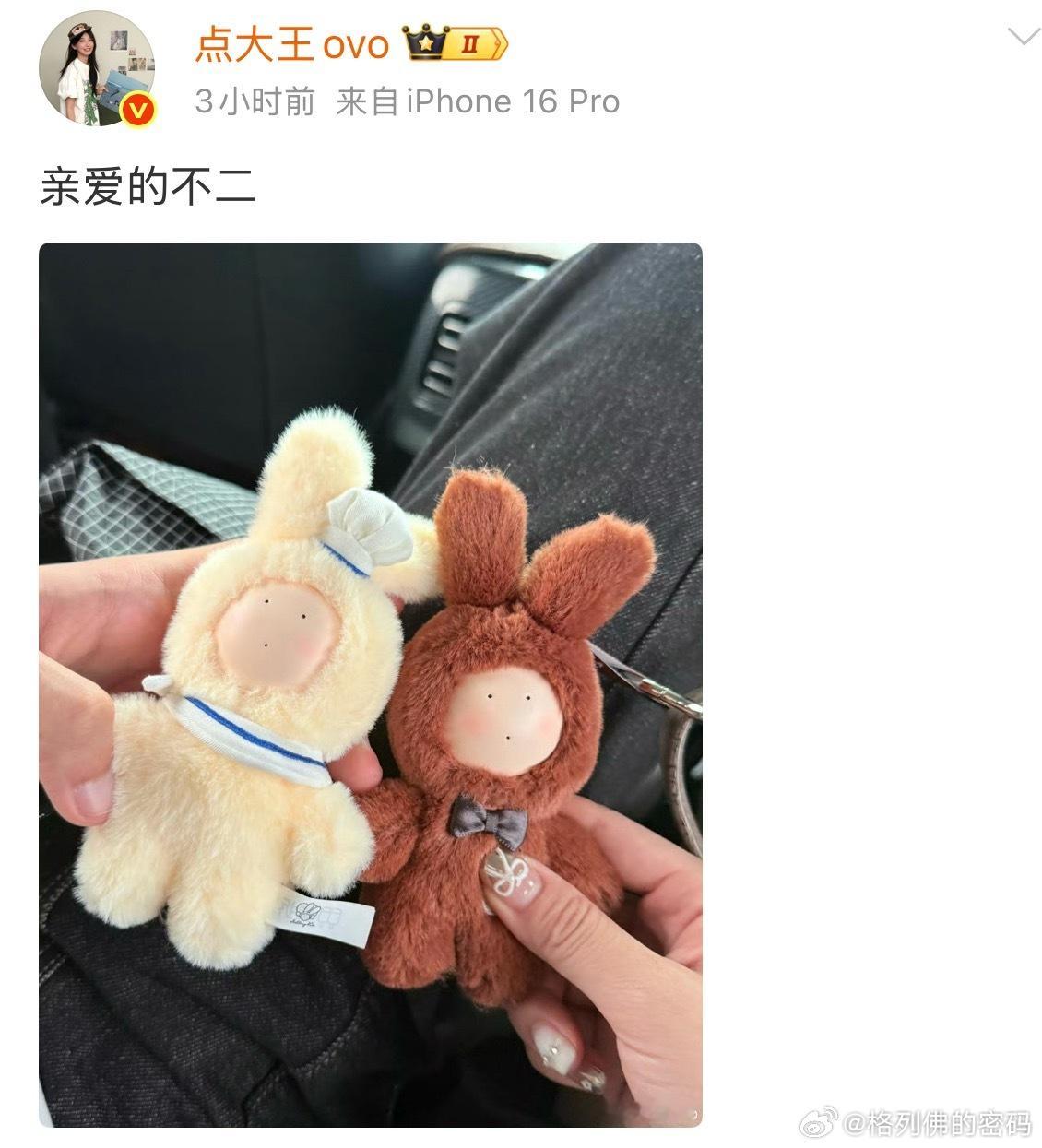 点点也看安东尼的书吗，看到不二过去的记忆都回来了，以前真的还蛮喜欢《陪安东尼度过