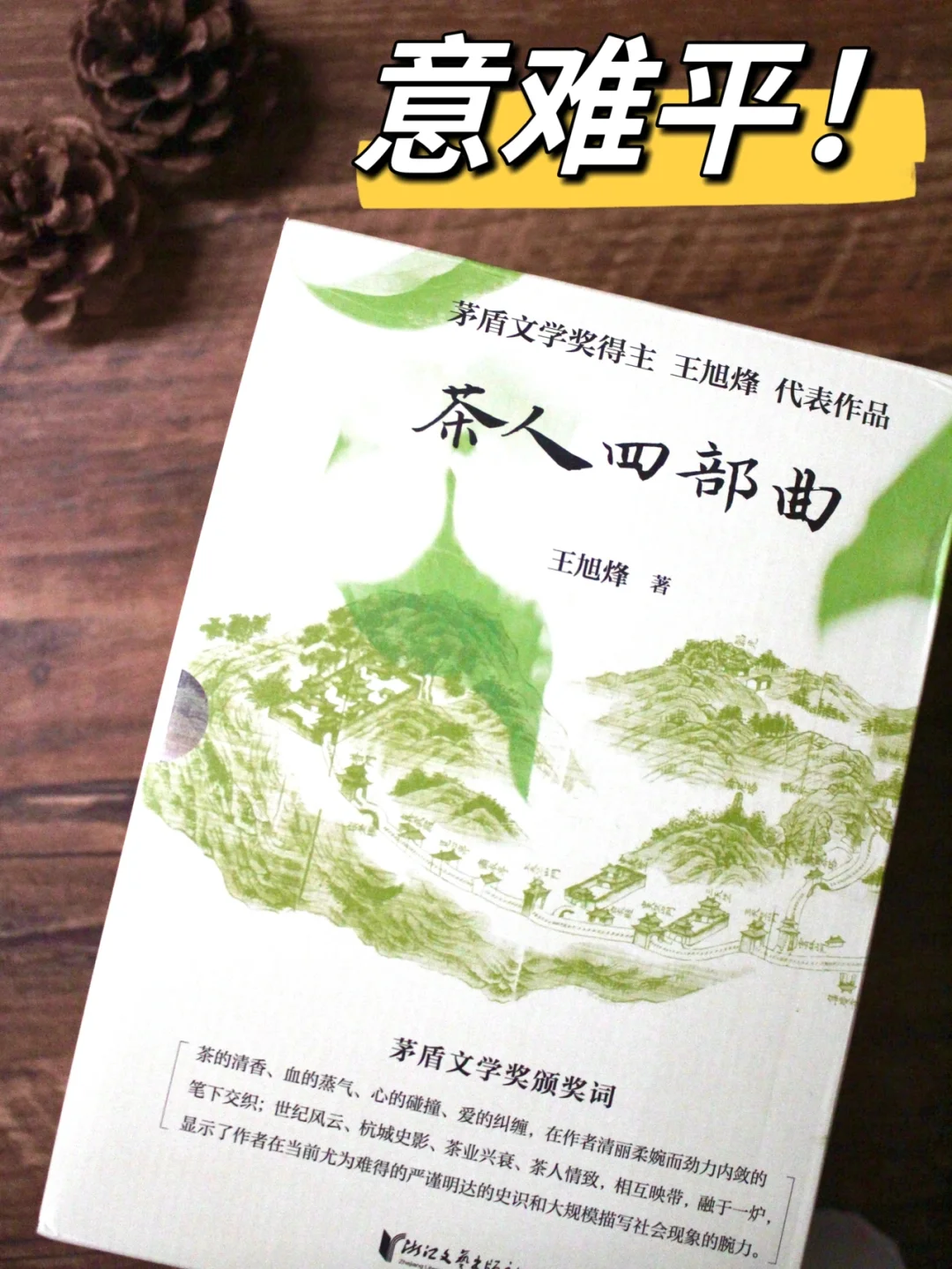 最被低估的茅奖神作，给我平凡活着的勇气！