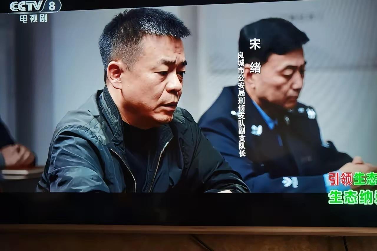 《我是刑警》同样演刑警队长，把富大龙、朱辉、孙浩扮演的三个队长一比较，立马看出高