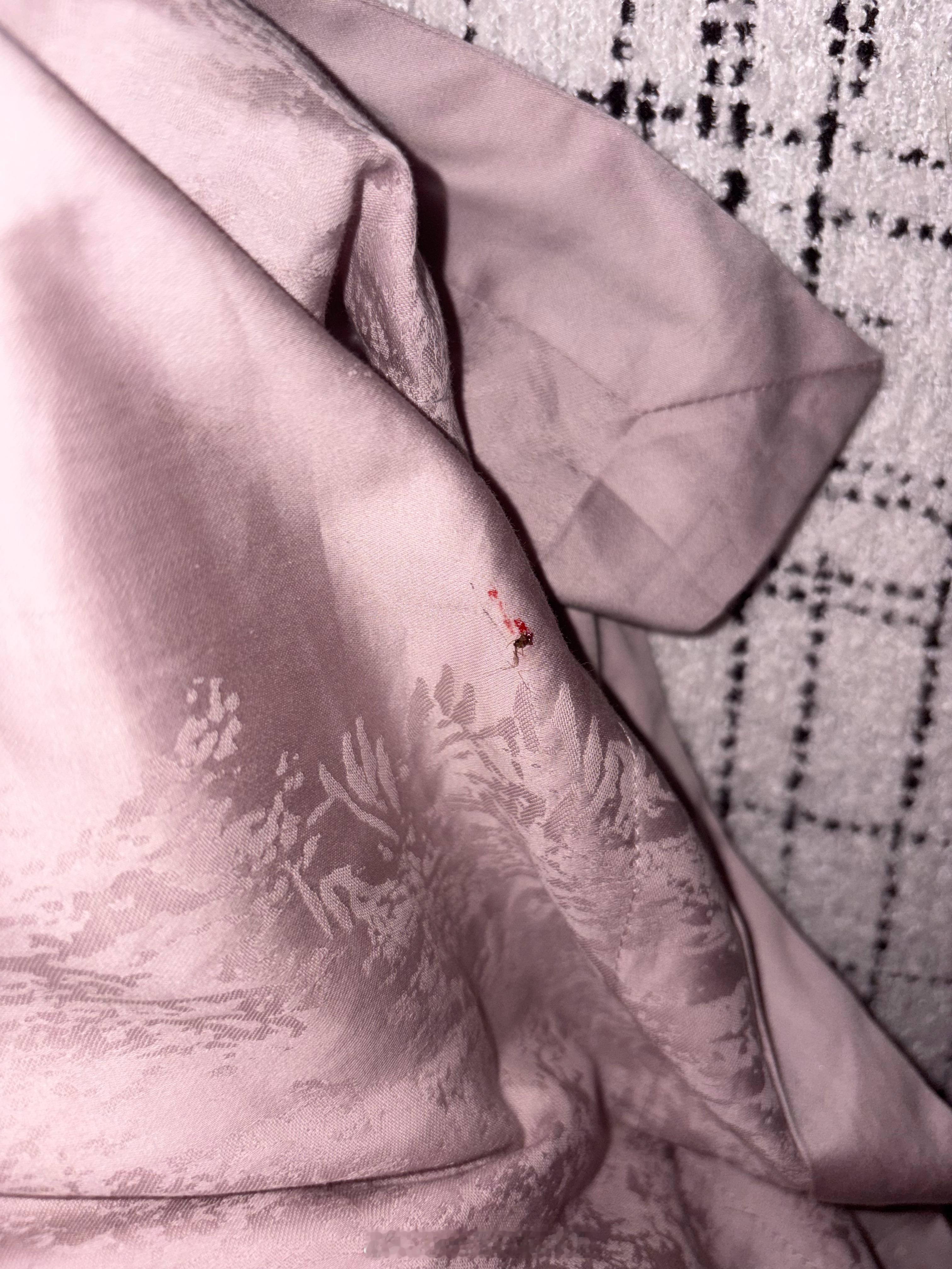 🦟🦟🦟凌晨五点 我们的战争结束了说过打死你就会打死你🦟 