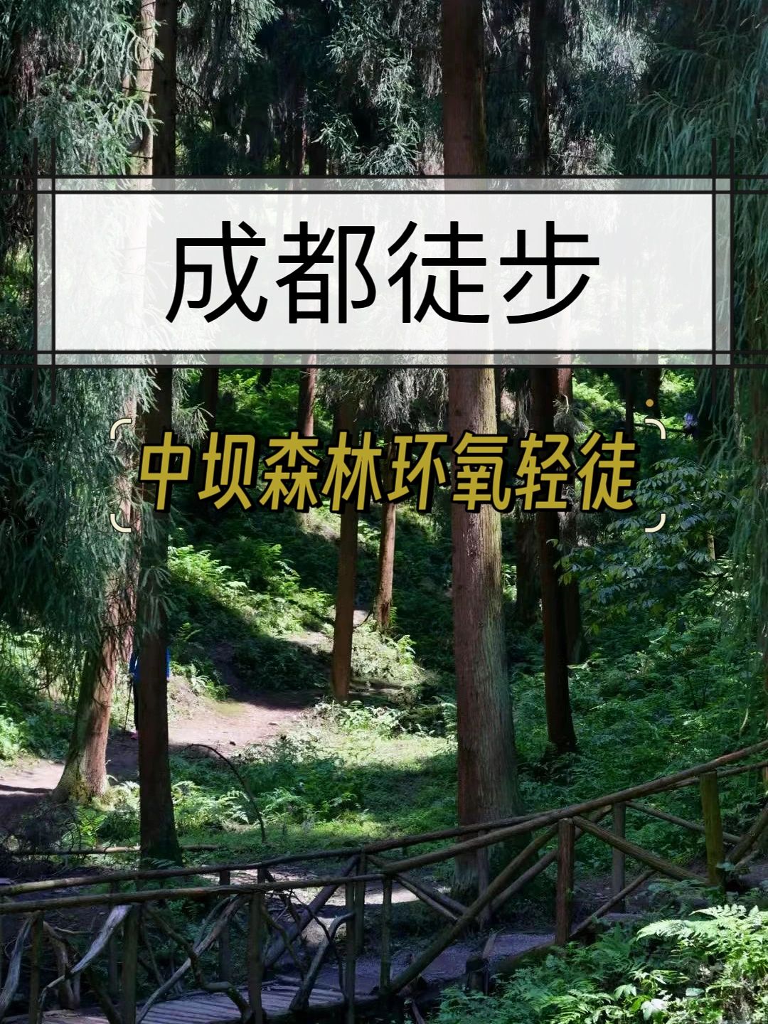 成都周边📍中坝森林环氧轻徒步亲子路线