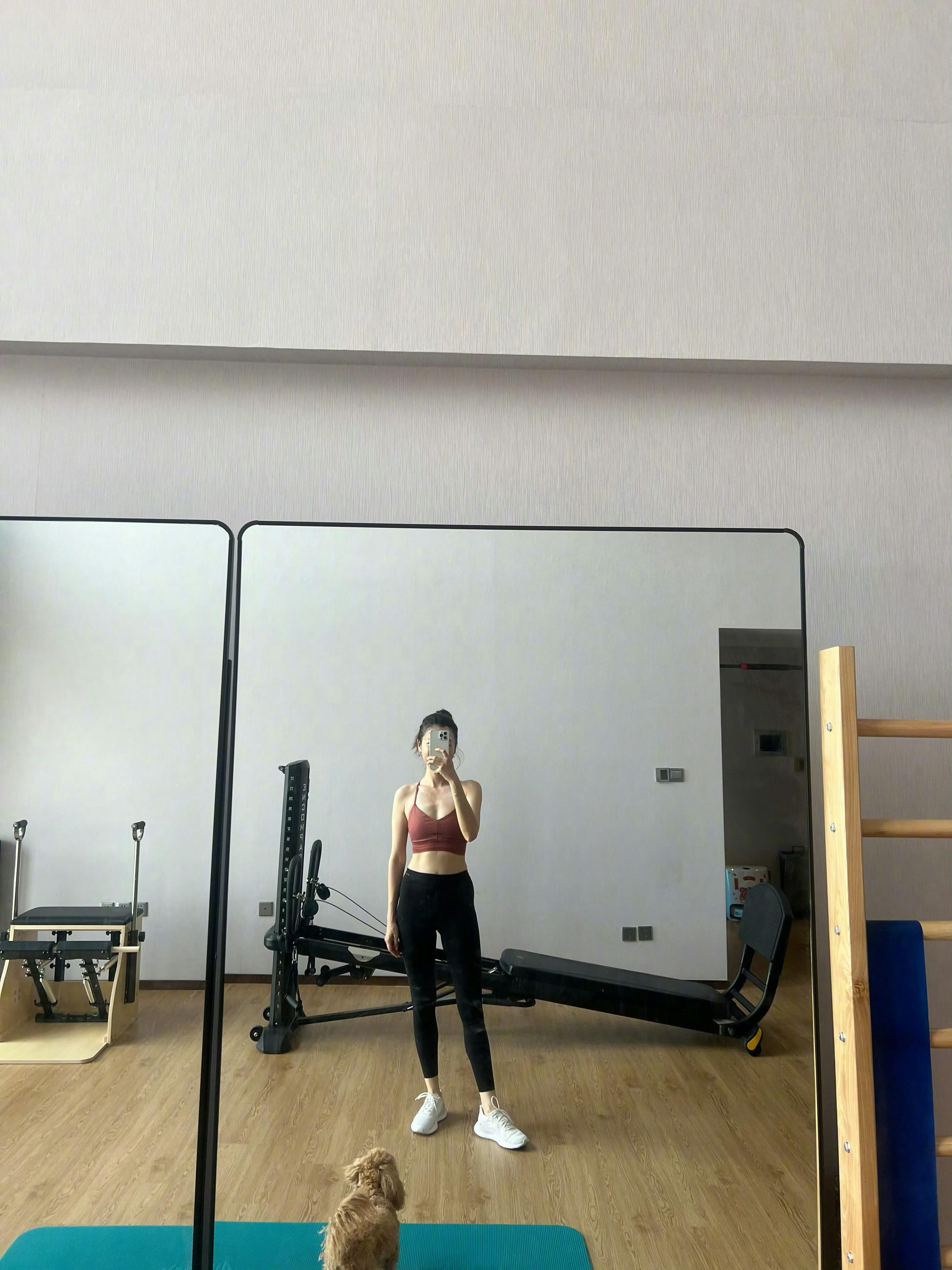好久没更新了[吃瓜]坚持着呢，没停～熙游记buddygo ​​​