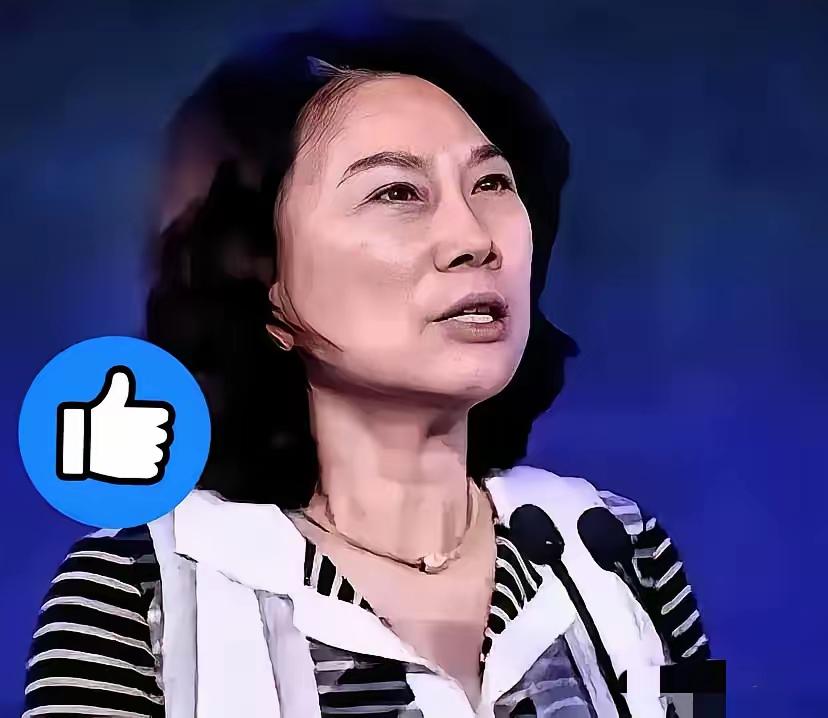 从“卡脖子”到“破局”：格力反制背后的国产突围
 
2025年10月，荷兰将DU