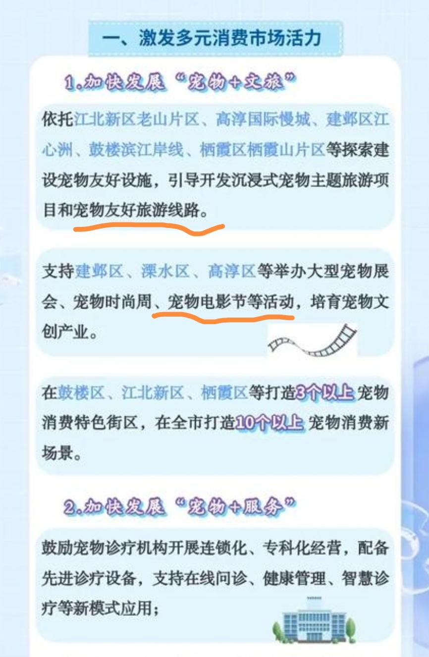 不知道宠物电影节是给狗看还是给人看？