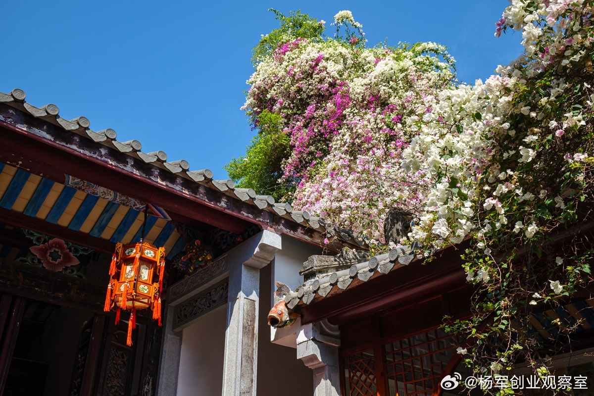 别再死守一份合伙协议了！必须是一套动态机制。很多企业把合伙做成了“静态股权分配”