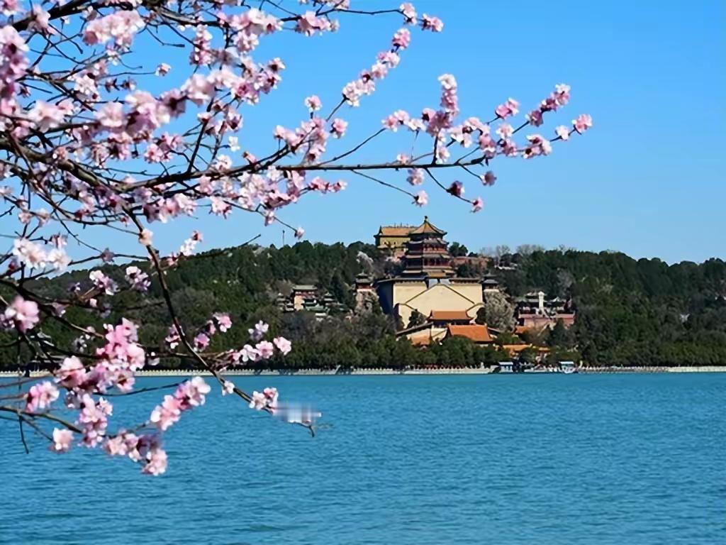 今日分享随手拍照片颐和园春色寄情人？颐和园的春色最懂浪漫，西堤桃花开得热烈，昆明