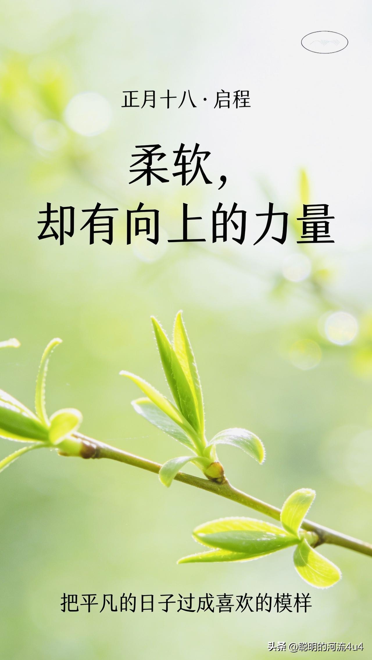 [微风]🌷🌞😍🌻💫🌷🍃
正月十八，
春风正暖，
阳光正好。
愿你往