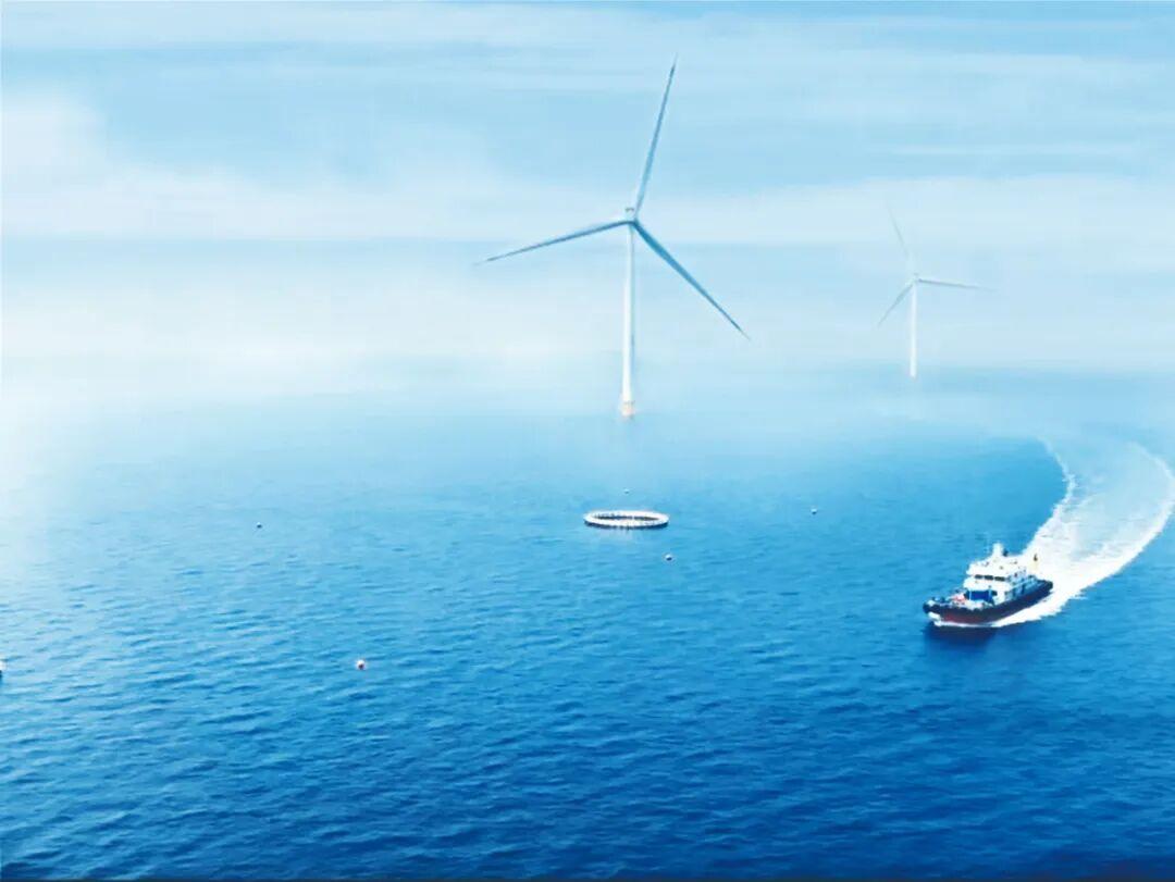 新年爱好打卡近日，中国电建华东勘测设计研究院发布一则采购公示，标志着位于青岛即墨