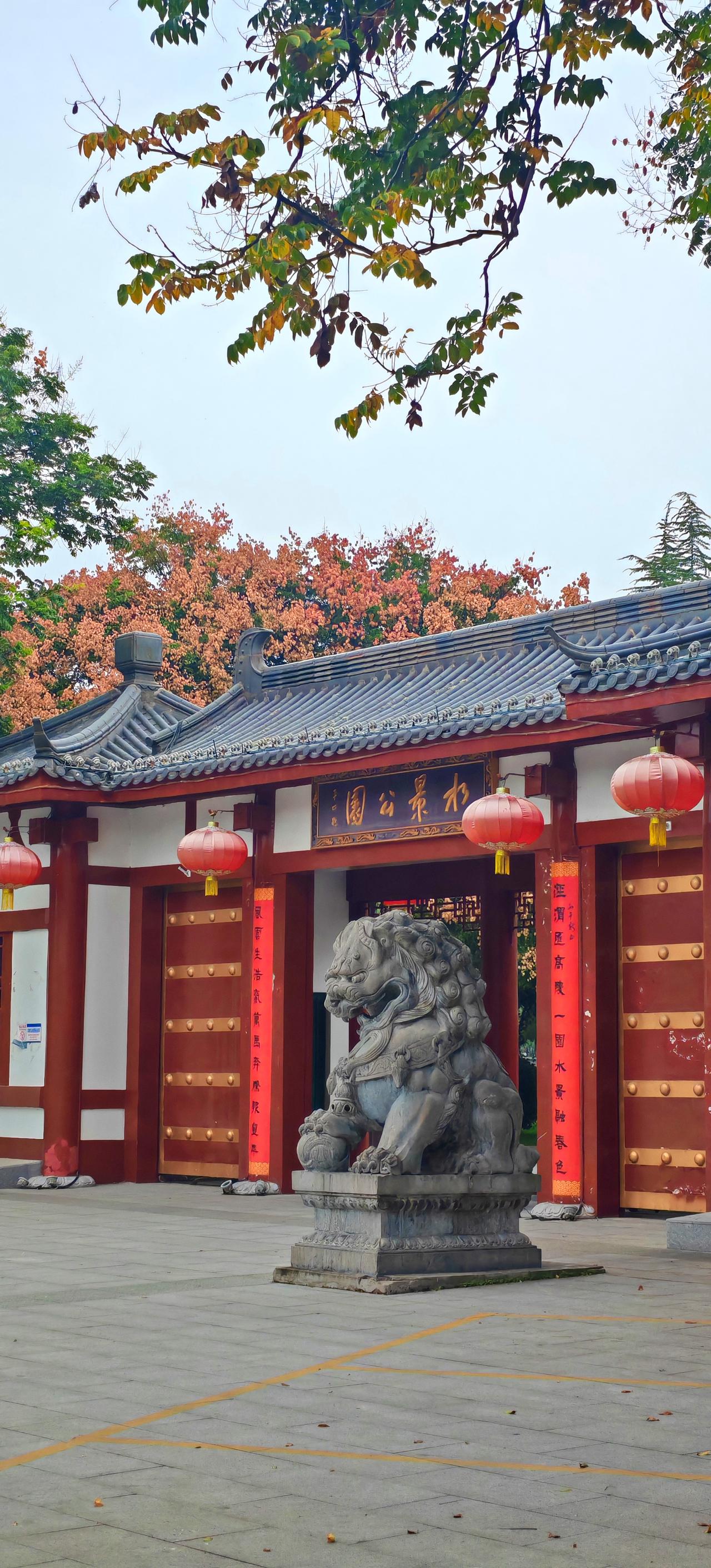 【水景公园的秋天，是栾树染出来的】如果你秋天来高陵水景公园，最不该错过的，是环湖