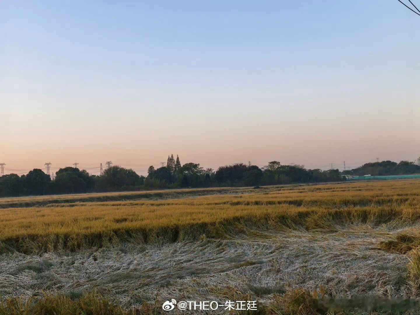 朱正廷 种地吧 到底什么毛病呢我请问呢一下？朱正廷只是发了一组图吧，怎么种地吧这