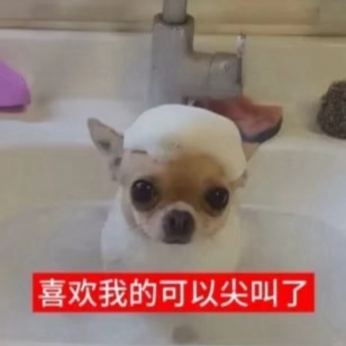 闺蜜们在干嘛呢