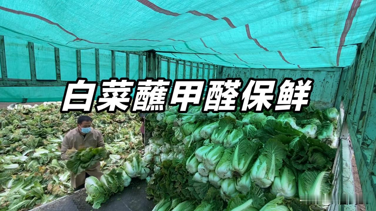 如何看待河北张家口甲醛白菜事件关于不法商家对食用蔬菜如此操作，是对老百姓的极大犯