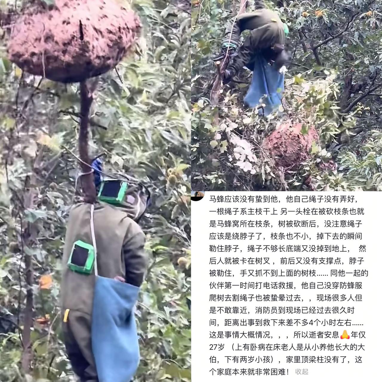 27岁苦命男子取蜂巢被自带绳子勒脖身亡，事发四川筠连县筠连镇，黄某某爬上20多米