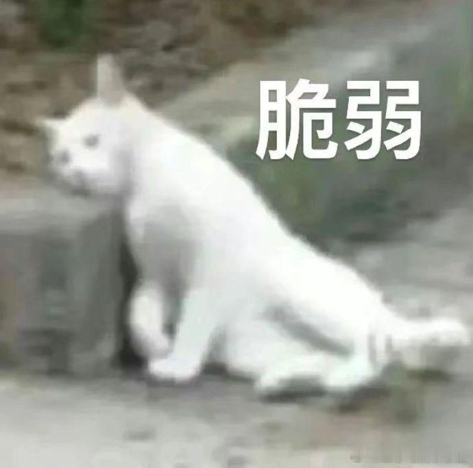 双臭的臭是怎么来的告诉老辈子，找到了臭豆腐的好伙伴，两个合体直接变成宇宙无敌双臭