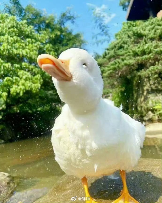 接下来时来运转，好运到来鸭 ！！！ 