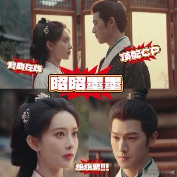 九重紫窦昭宋墨联手破局  九重紫 就喜欢看这种双强的cp啊，窦昭和宋墨两人就是天