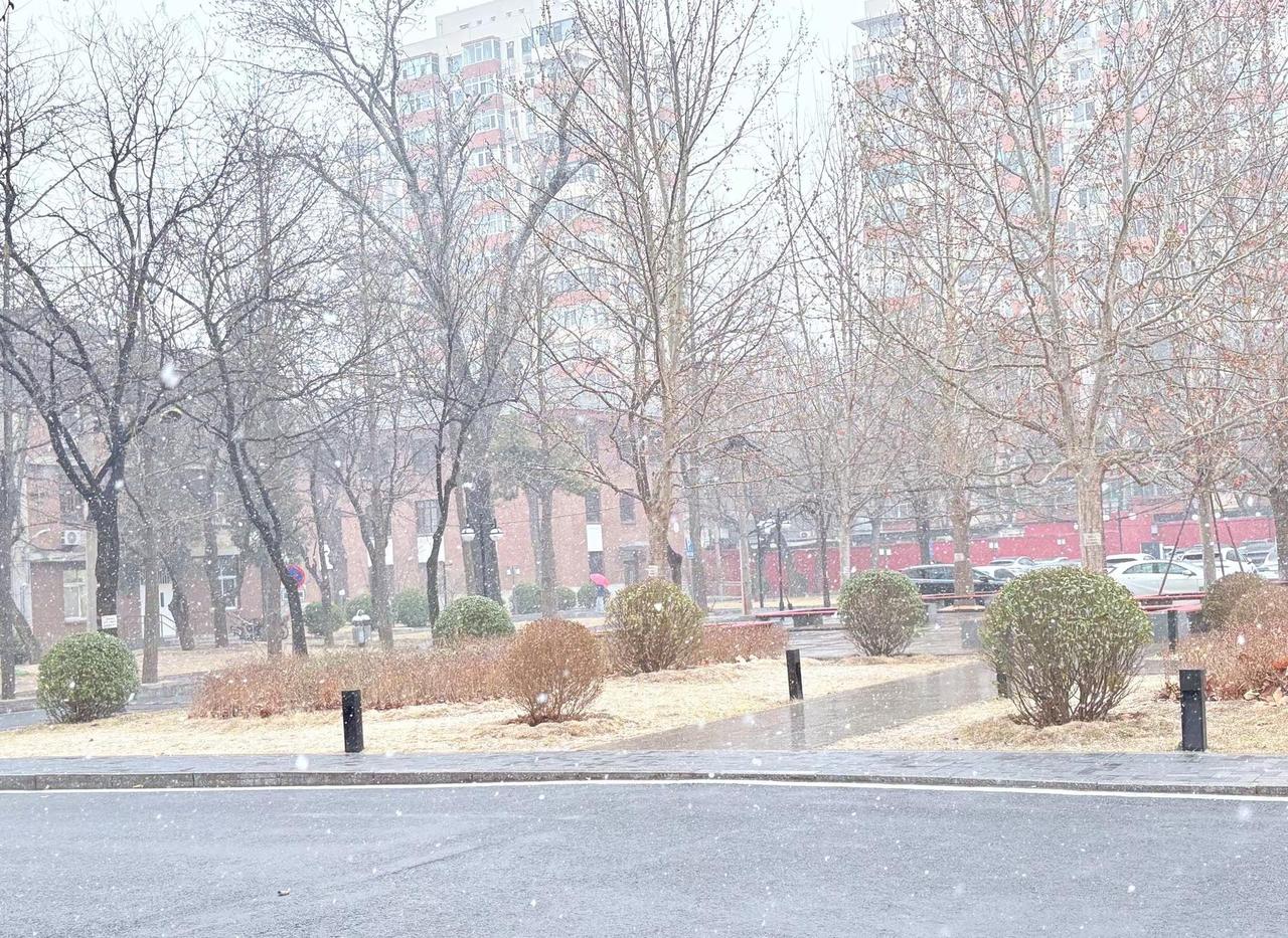 下雪❄️。现在是三月吗，北京？北京下雪 下雪
