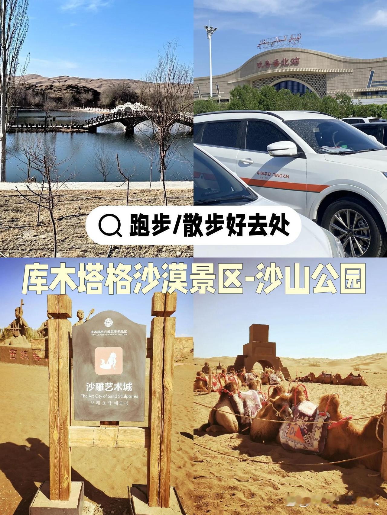 沙山脚下跑出绿洲！春日治愈系运动攻略

刚结束一场沙海中的奔跑，没想到脚下竟藏着