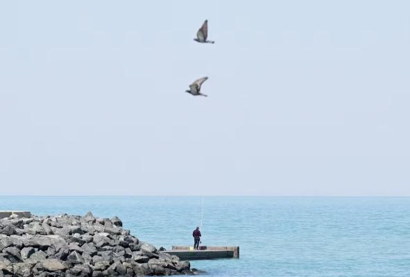 美国打得比俄罗斯还窝囊

美国这次在海湾地区，可是露了大怯了。

才打了一个月不