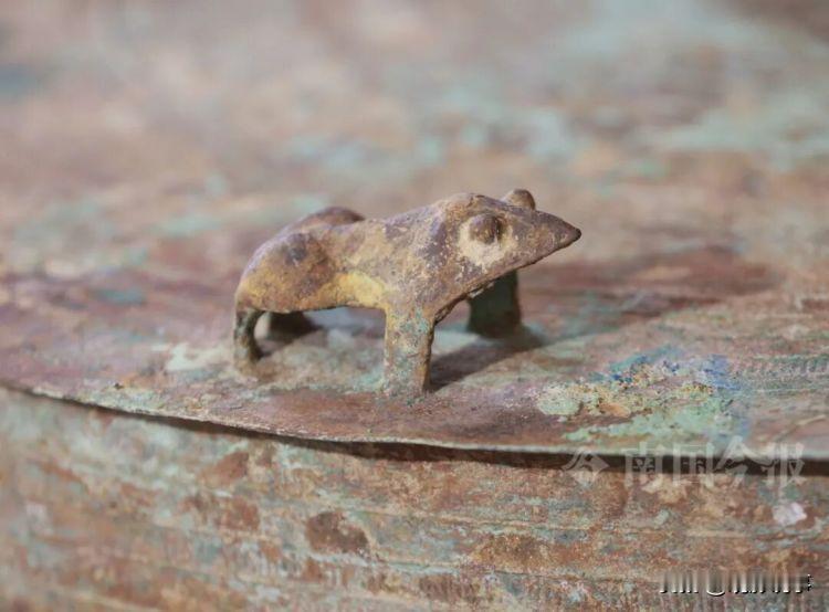 在柳州城郊的柳城县大埔镇南村河背屯小河边，村民垂钓时挖蚯蚓发现了一只千年古铜鼓。