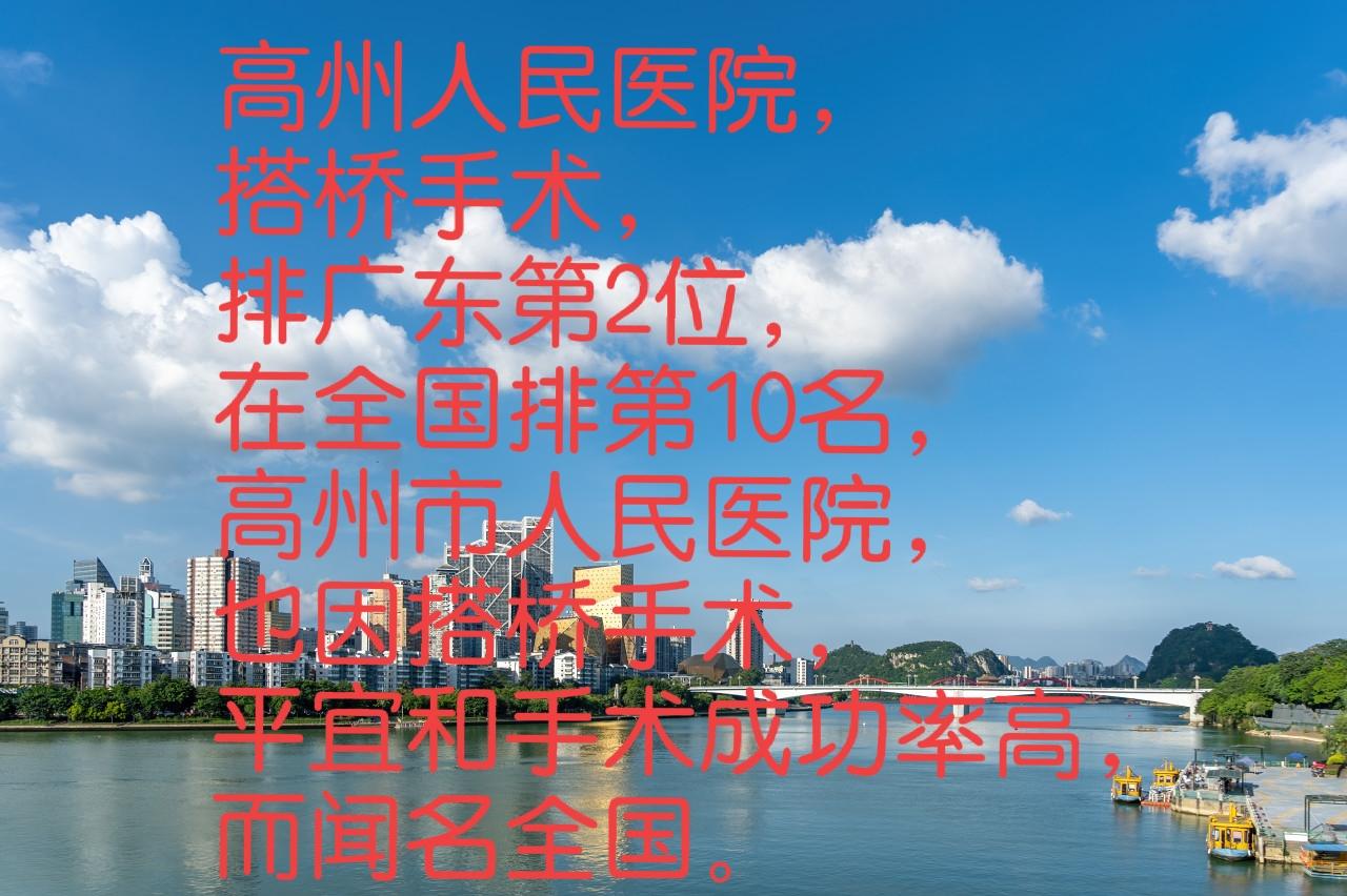 县级高州人民医院的心脏搭桥手术，在广东排第2，在全国医院排10名，搭桥手术应该是
