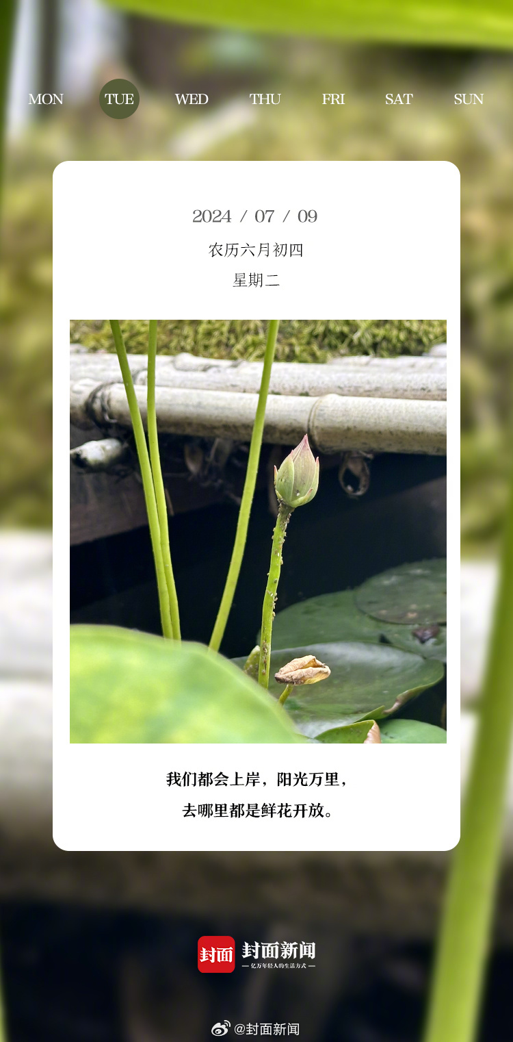 #小封日历# 早上好，周二啦！推荐一部你最爱的电影吧~[送花花] ​​​