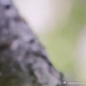 当你选择热爱生活时生活也会选择热爱你让我们用无数的小确幸填满平凡的每一天 