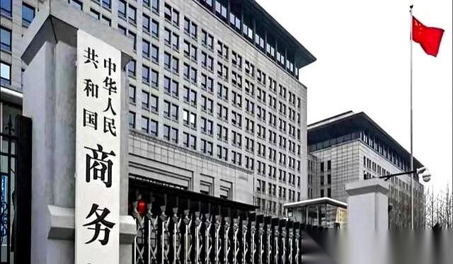 8天。就8天。
一家韩国巨头，押上50亿美金的豪赌，直接清零。
我看到这新闻的时