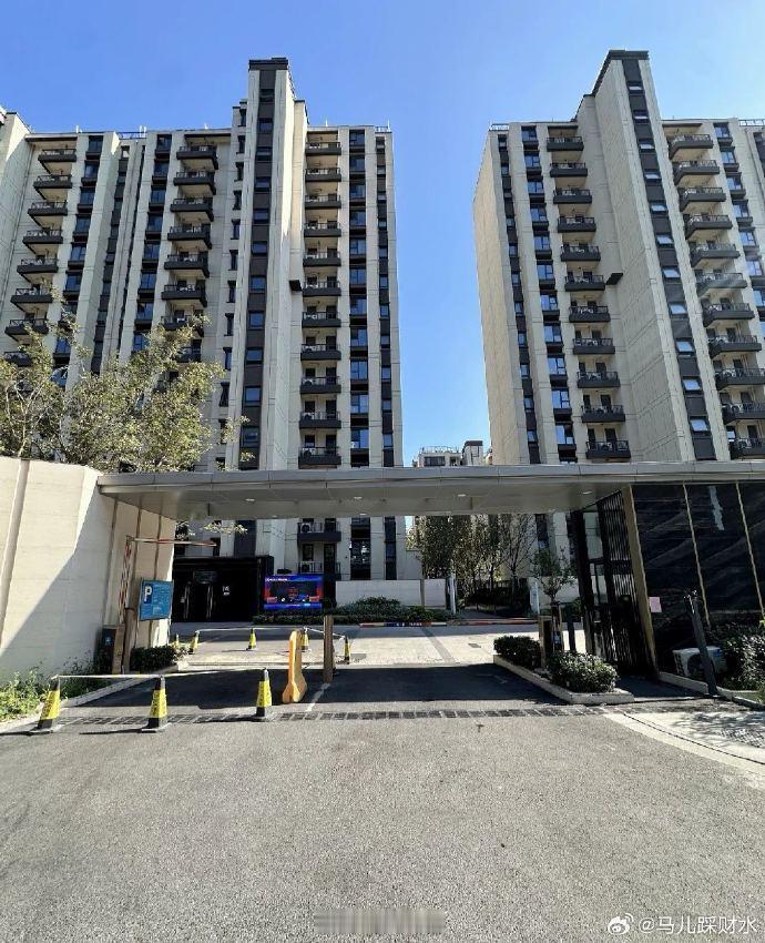 深圳女生一天1500专门劝人别买房我觉得买房过程中除了正常的中介带看以外，如果十