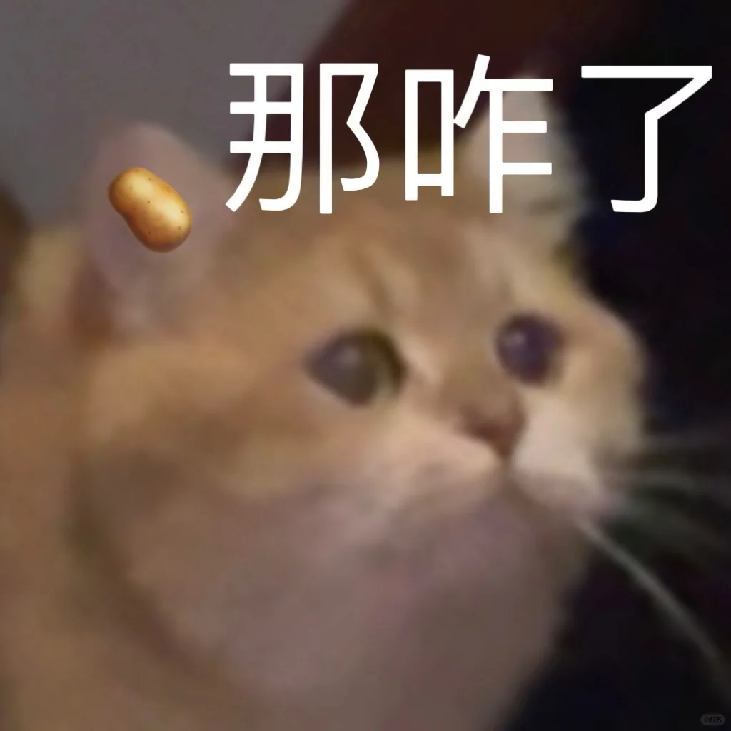 那咋了 🥔猫猫表情包