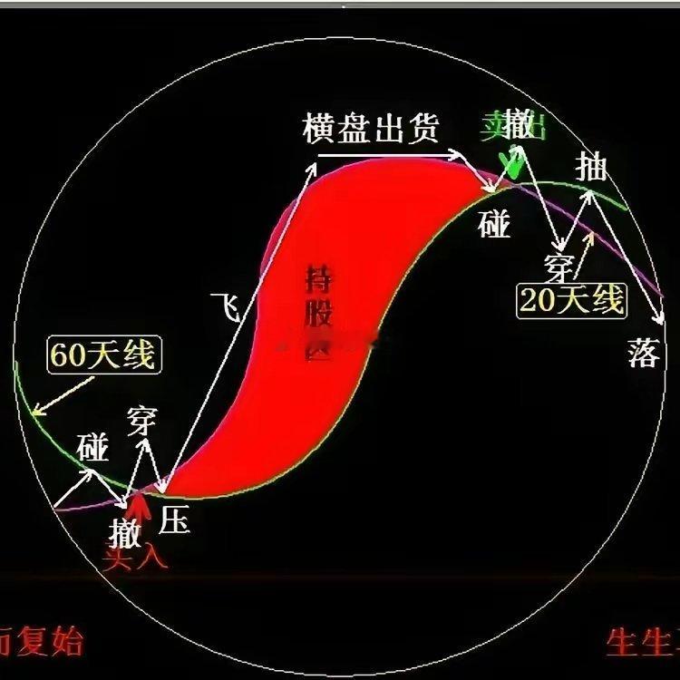 只有老股民才能看懂的持股“八卦图”！ 
