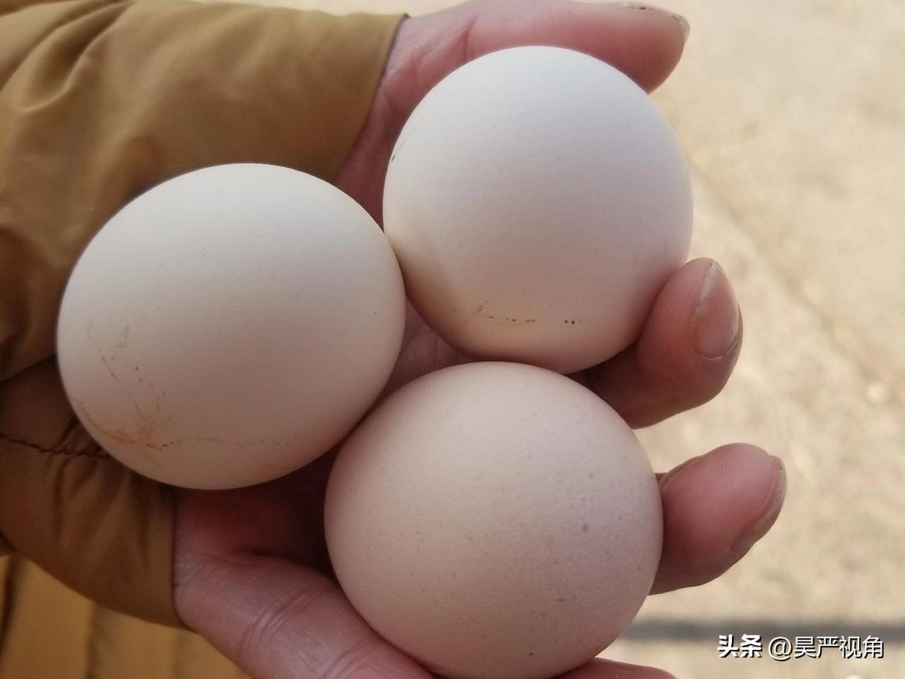 市场管理方为了回馈消费者，每个人可以免费领取三个鸡蛋或一袋食盐。如果是你，这两样