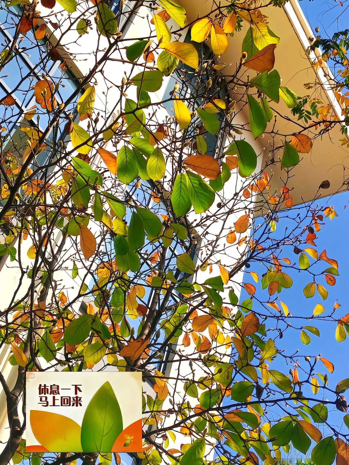 休息一下马上回来 