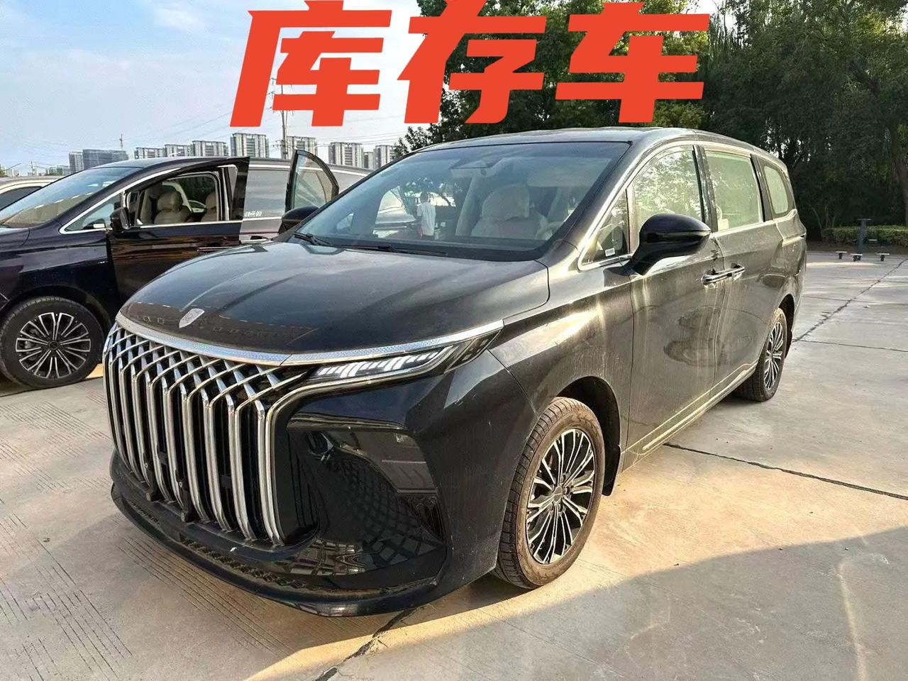 车型：风行 2024款 星海V9 1.5TD 200km 中国结系列 豪华型、尊