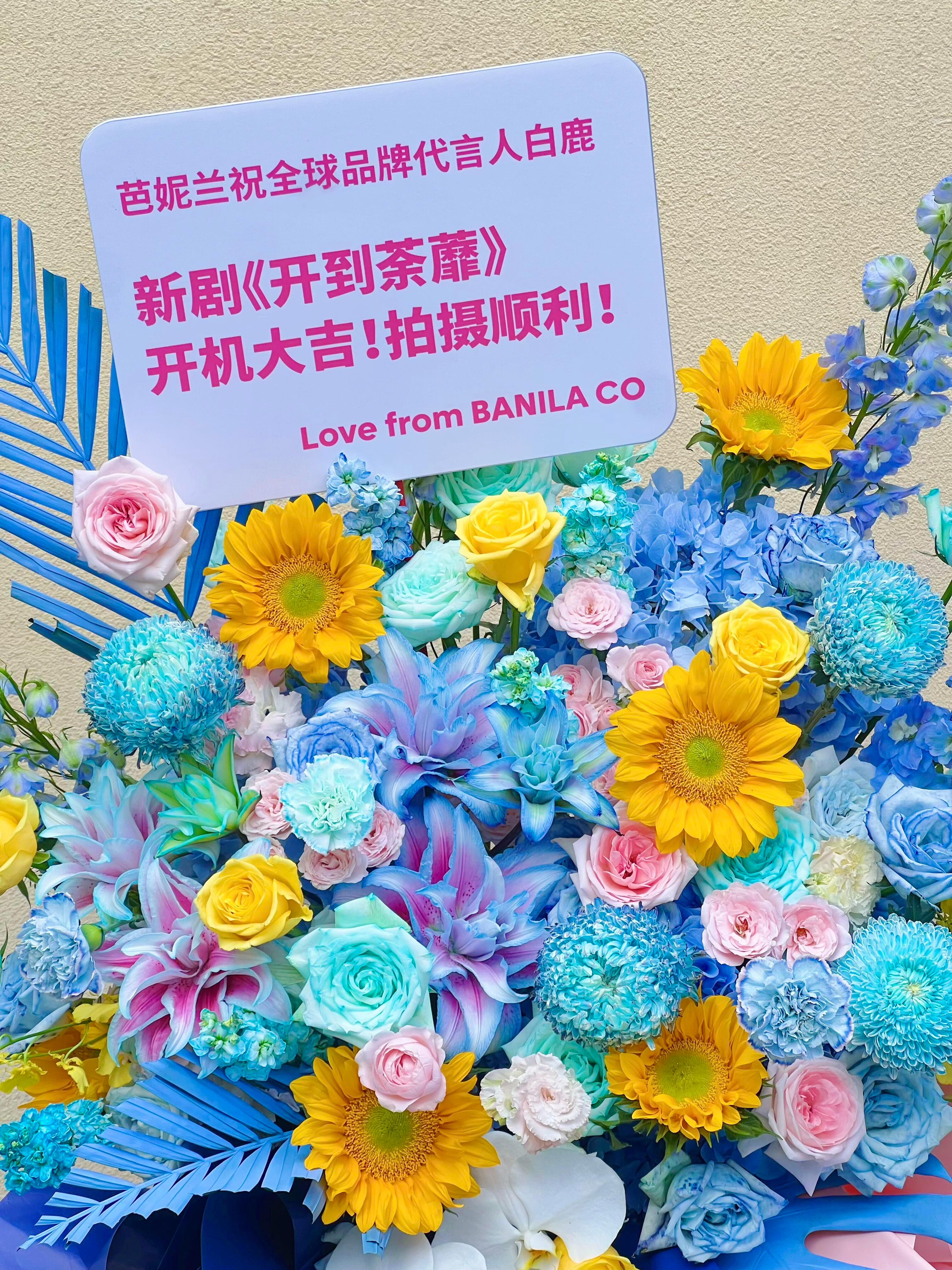 Wow小芭的花篮就位了 宠美鹿儿白鹿芭妮兰全球品牌代言人