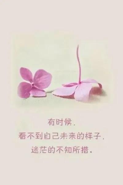 不知
 
不知落叶飘向何方
不知雨落时谁还在凝望
不知清风抚摸的力量
不知星辰为