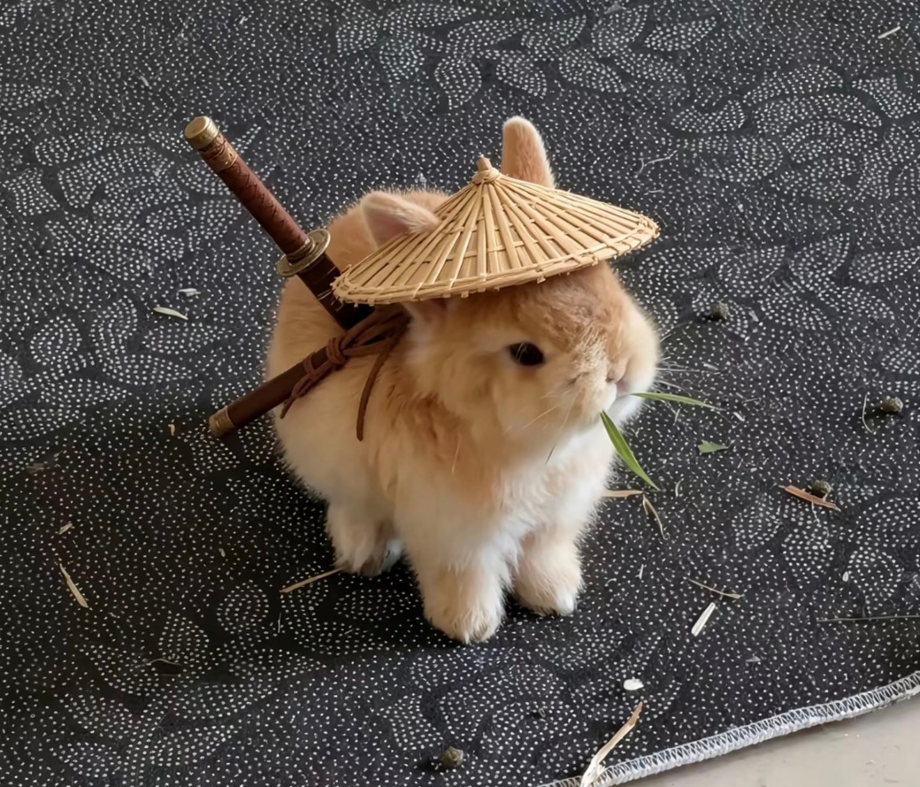 李明书心里一直有个梦 ​​​