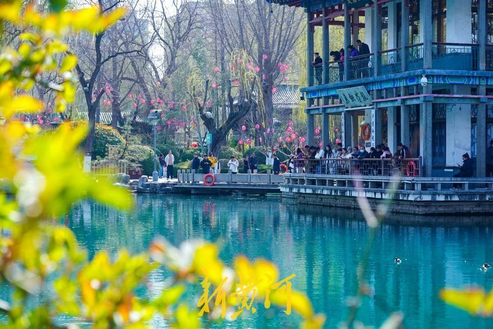 气温回升至12.9℃ 济南春柳摇曳泉更幽-app/#/content?catid