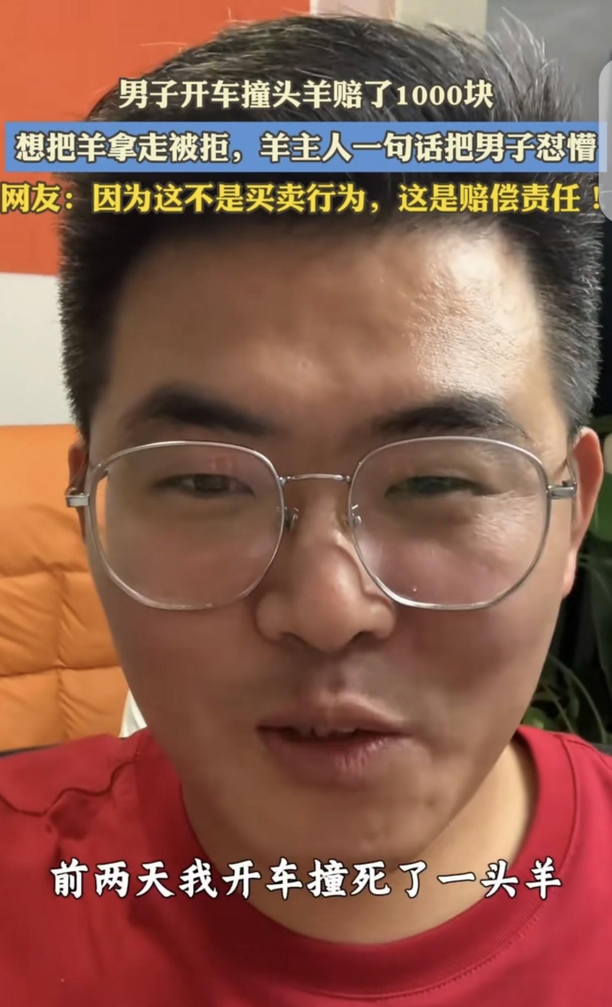 车撞了羊，赔了钱，羊就归我？

牧民一句反问让全网愣住，

法律真这么算账？
