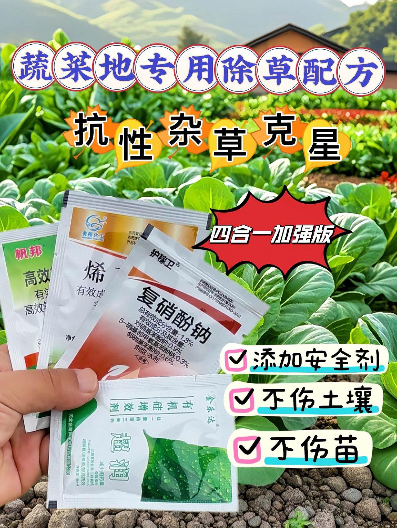 #蔬菜苗后除草剂 #除草不伤作物 农友们，是否还在为菜地杂草肆意生长而烦恼不已呢