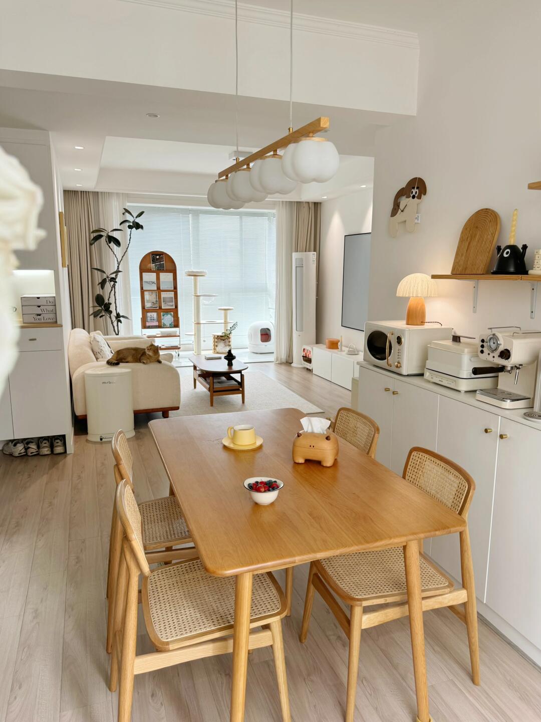 越住越爱！入住4年的70平小家！