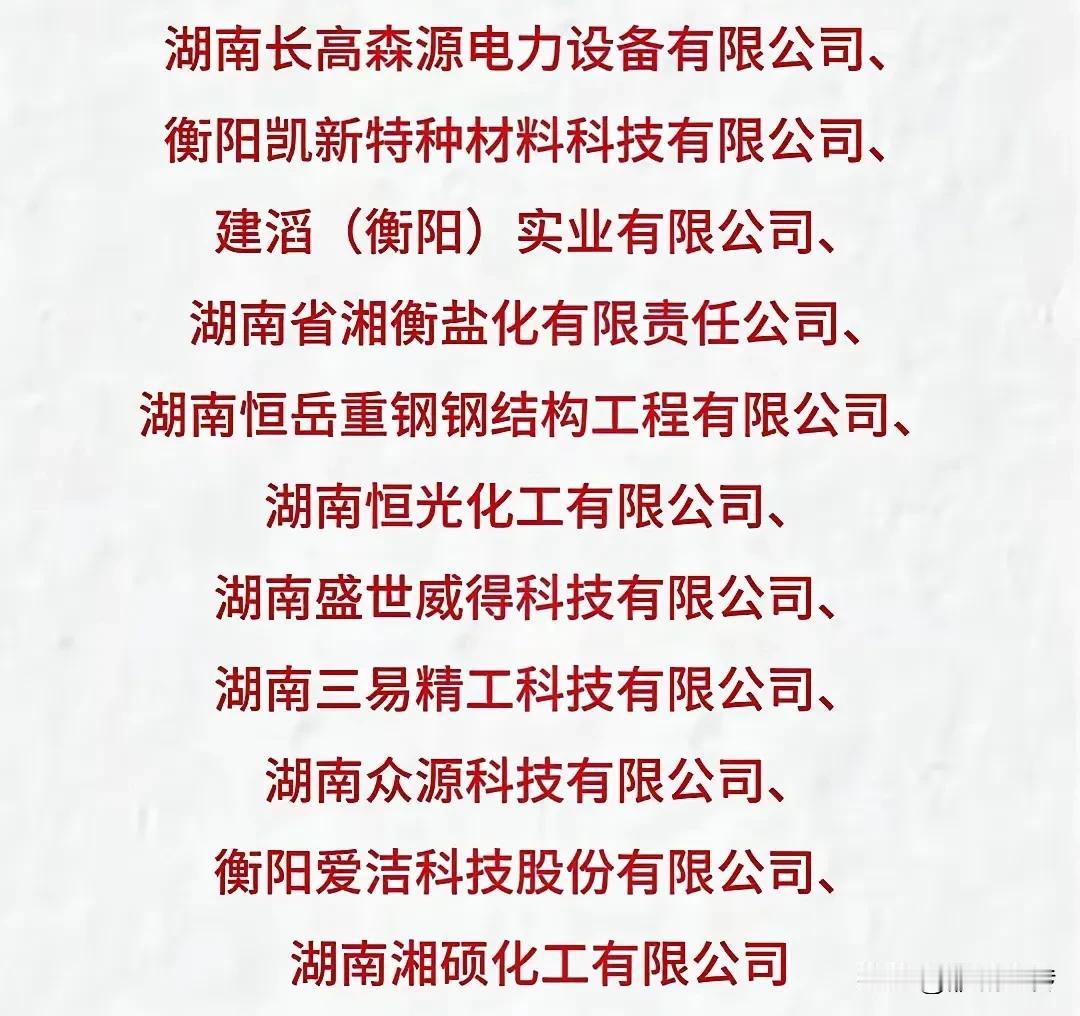  衡阳11家企业荣获市长质量奖：建滔、湘衡盐化、恒光化工、凯新特种材料、长高森源
